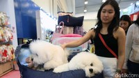 Tahun ini, IIPE 2024 mengusung tema “The Magical World of Pet” dan menargetkan lebih dari 70 ribu pengunjung.