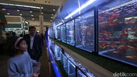Pameran ini menampilkan berbagai kategori hewan peliharaan, mulai dari reptil, hewan air, unggas, hewan rumah, hingga hewan eksotis.