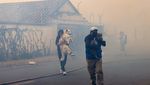 Potret Evakuasi Hewan Korban Kebakaran Hutan di Ekuador