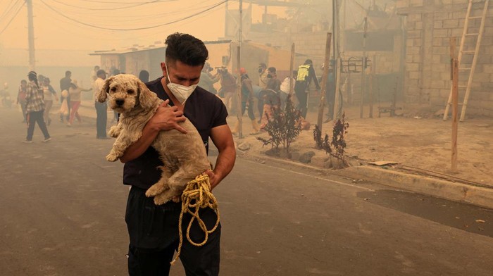 A man carrying a dog walks amid smoke from wildfires, in Tumbaco, Ecuador September 5, 2024. REUTERS/Karen Toro