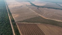 Pemandangan dari drone menunjukkan lahan gundul yang siap untuk pertanian di dekat sungai Madeira di Humaita di negara bagian Amazonas, Brasil, 4 September 2024.   