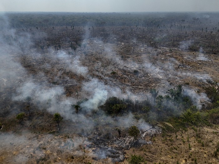 Illegal burning in the Amazon rainforest on the banks of the BR-230 highway (Rodovia Transamaznica), near the city of Humait, Amazonas state, northern Brazil, taken on September 4, 2024. Forest fires have been raging for several weeks in Brazil, particularly in the Amazon rainforest in the north and the immense Pantanal wetland in the center-west of the country. (Photo by MICHAEL DANTAS / AFP)