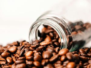 Perbedaan Kopi Robusta dan Arabika, Lebih Asam Mana?