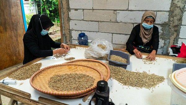 Ini Dia 5 Kopi Asli Indonesia yang Digemari di Dunia Karena Enak