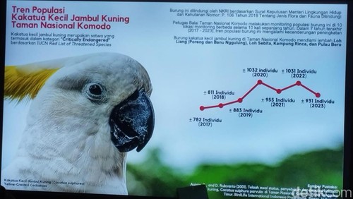 Tangkapan layar tren populasi Kakatua Kecil Jambul Kuning di TN Komodo.
