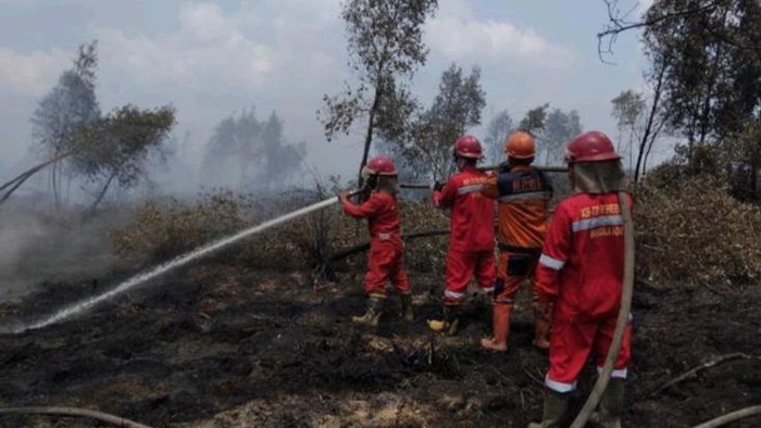 Karhutla di wilayah gambut di OKI diupayakan pemadaman.