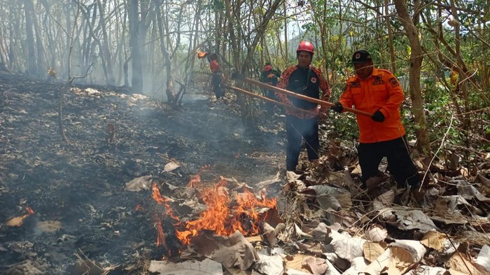Kebakaran hutan dan lahan di Trenggalek.