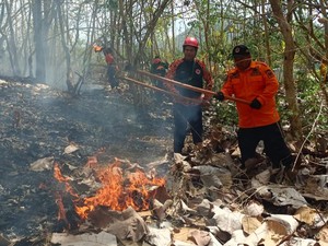 Terjadi 14 Kebakaran Hutan dan Lahan di Trenggalek Selama Kemarau