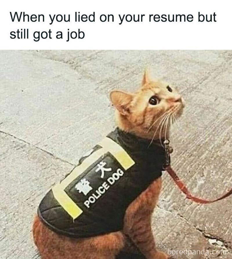 Namanya juga hidup. Kadang di atas, kadang kidding. Tetap semangat menjalani kehidupan ya, detikers!