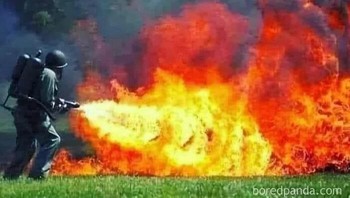 Let it burn! Foto: International Laughing Hour via Bored Panda