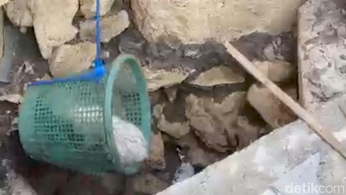 Momen evakuasi Zuzu kucing di Playen Gunungkidul tercebur ke septic tank, Jumat (6/9/2024).