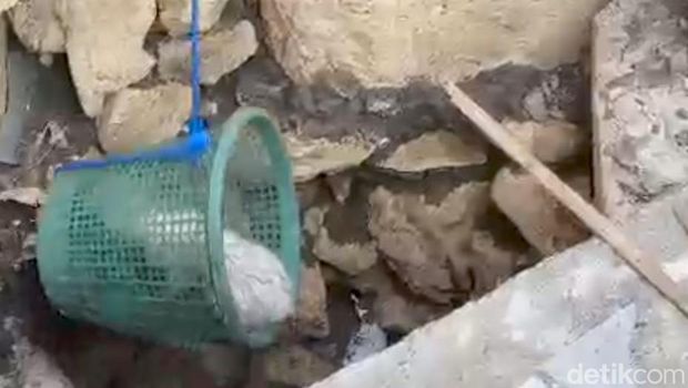 Momen evakuasi Zuzu kucing di Playen Gunungkidul tercebur ke septic tank, Jumat (6/9/2024).