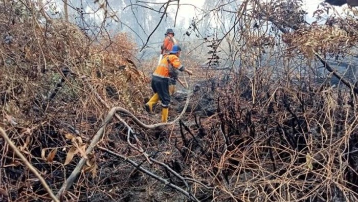 Pemadaman Karhutla dilakukan di Desa Suka Maju, Muara Enim.