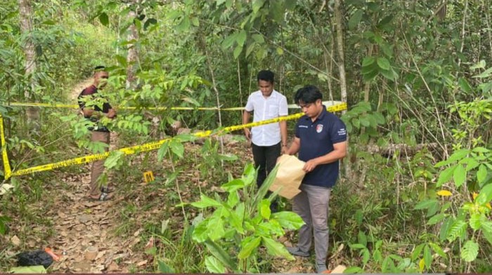 Petani di Balangan bunuh IRT pakai batang kayu karet.