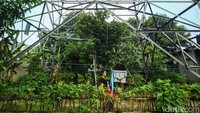 Biasanya dibawah lintasan SUTET itu juga terdapat jalan kecil yang menjadi akses warga dan bisa dilintasi oleh kendaraan bermotor. Selain masih banyak rumah tinggal yang berdiri di bawah SUTET, kadang ada juga yang menjadikan lokasi itu sebagai tempat berjualan mereka.