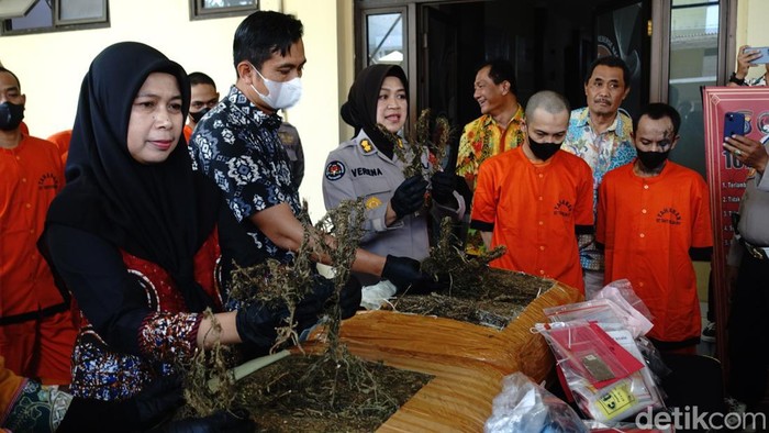 Rilis kasus pengungkapan jaringan ganja antarpulau di Mapolda DIY, Jumat (6/9/2024).