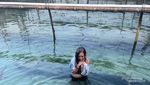 Pesona Eksotis Karimunjawa dan si Cantik Acropora Gomezi