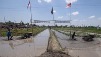 Peserta beradu cepat saat mengikuti lomba balap traktor di Karangduren, Kebonarum, Klaten, Jawa Tengah, Sabtu (7/9/2024).
