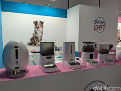 Keriuhan Pesta Teknologi Eropa di IFA 2024