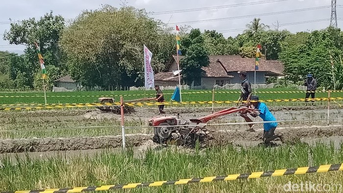 Kejuaraan balap traktor di Desa Karangduren, Kecamatan Kebonarum, Klaten, Sabtu (7/9/2024).