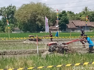 Serunya 32 Pembalap Traktor Adu Cepat di Kebonarum Klaten