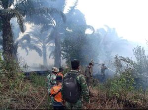 Hari ke-10, Karhutla di Muara Enim Belum Padam-54 Hektare Lahan Sudah Terbakar