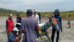 Festival Gir Sereng Rayakan HUT Probolinggo