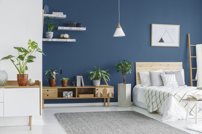 Anti Monoton, Ini Ide Kombinasi Warna Cat Kamar Tidur yang Estetis