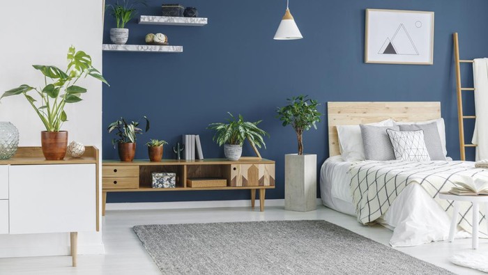 Wooden cabinet with plants and a king size bed in a blue bedroom interior