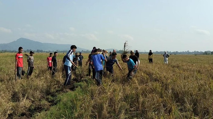 Kegiatan safari berburu tikus di Kecamatan Tugumulyo, Musi Rawas