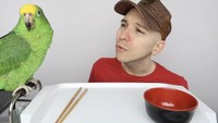 Pada video pertama setelah vacum, ia mengajak burung beonya mukbang bersama. Mangkuk kecil telah tersaji di hadapannya yang menandakan hidangan khas Asia akan disantapnya. Foto: YouTube/Nikocado Avocado