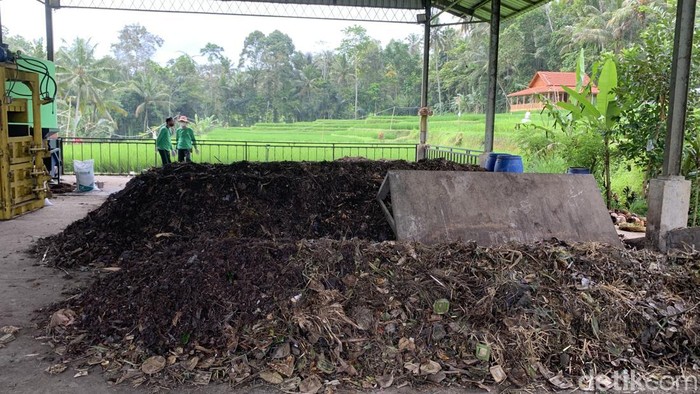 Pekerja memproses sampah organik di TPS3R di Desa Keliki, Gianyar, Bali, Minggu (8/9/2024).