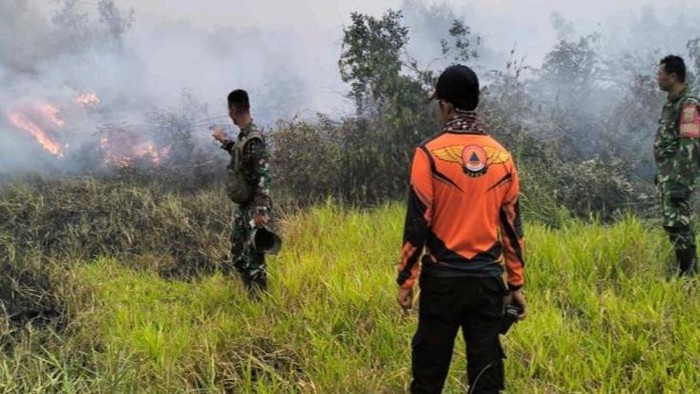 Pemadaman Karhutla di Gelumbang kesulitan sumber air dan sinyal.