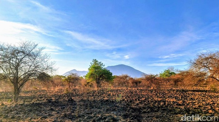 TN Baluran di Situbondo