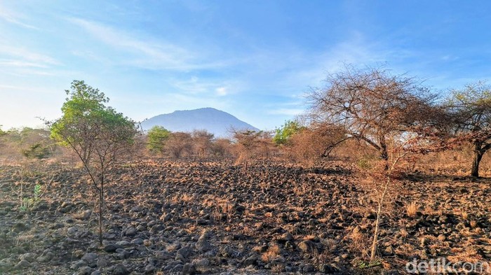 TN Baluran di Situbondo