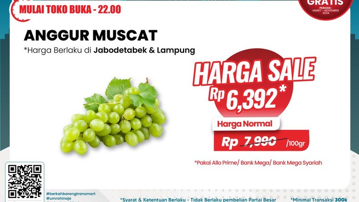 Transmart Full Day Sale