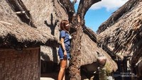 Pohon cinta tempat untuk bertemu pasangan yang saling mencintai