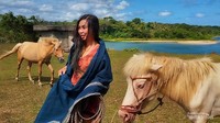 Mengajak kuda Sumba yang sangat penurut ini berjalan jalan
