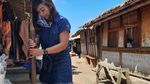 Desa Adat Sade, Pohon Cinta, dan Segala Keunikannya
