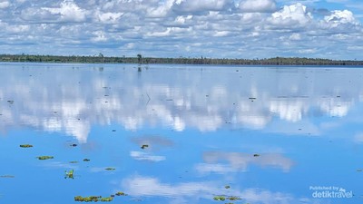 Pulau Tak Berpenghuni di Kalimantan, Sangat Cantik tapi Habitatnya Kerbau