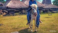 Berkeliling desa adat Ratenggaro bersama kuda Sumba