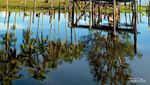 Pulau Tak Berpenghuni di Kalimantan, Sangat Cantik tapi Habitatnya Kerbau