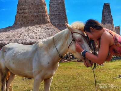 Berkuda di Sumba adalah Liburan Terbaik!