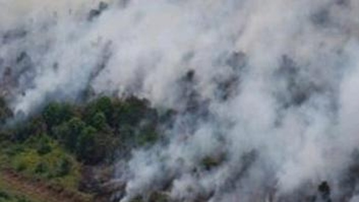 Upaya pemadaman Karhutla di wilayah Muba