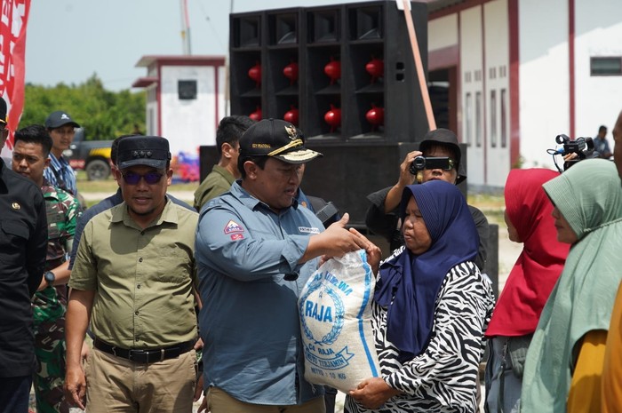Wagub Kalteng panen udang vaname.