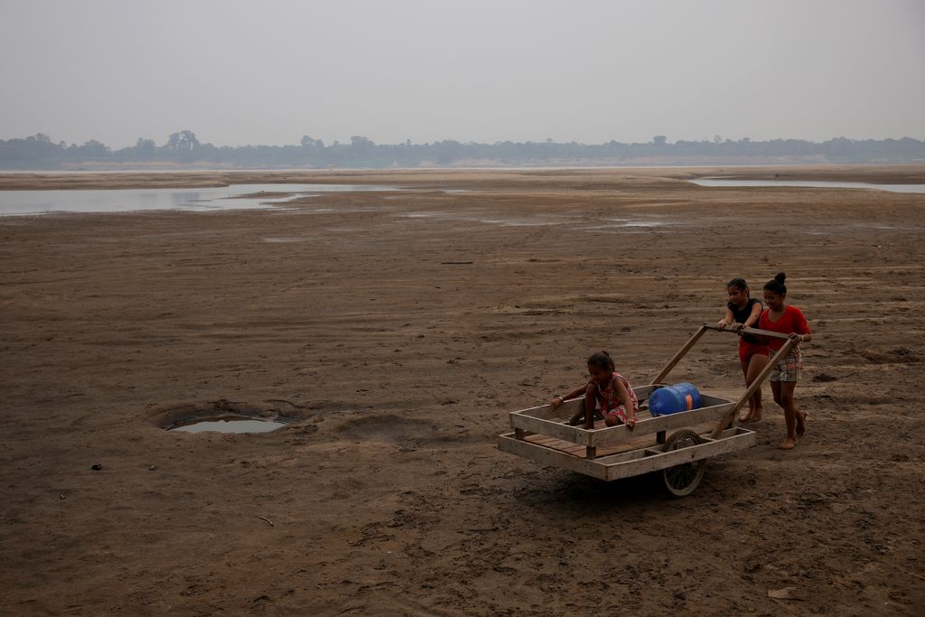 Debit air pada sungai yang mengalir pada hutan hujan tropis Amazon mengalami penyusutan. (REUTERS/Bruno Kelly) Debit air pada sungai yang mengalir pada hutan hujan tropis Amazon mengalami penyusutan. (REUTERS/Bruno Kelly)