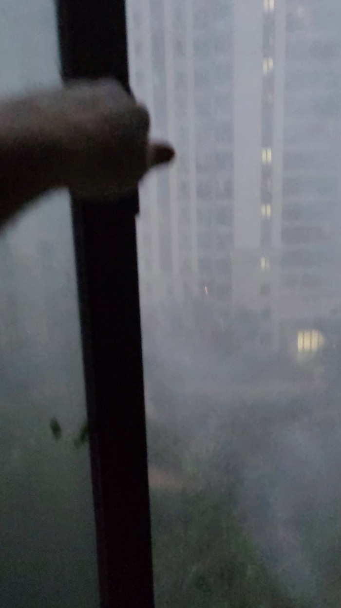 Strong winds blow during Super Typhoon Yagi in Haikou, Hainan, China September 6, 2024 in this screengrab obtained from a social media video. Andrey Zavialov/via REUTERS THIS IMAGE HAS BEEN SUPPLIED BY A THIRD PARTY. MANDATORY CREDIT. NO RESALES. NO ARCHIVES.