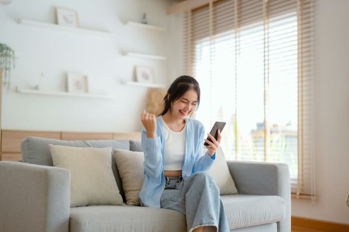 Ilustrasi Belanja Online