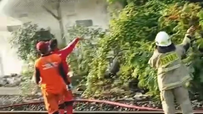 Kebakaran Lapak di Grogol, Jakbar