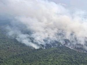 Pemadaman Karhutla di Muba Dioptimalkan, Kini Masih Berasap